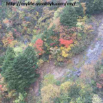 10年に1度の紅葉！！ってＴＶで言ってたけど綺麗だった福島県の紅葉　2025年